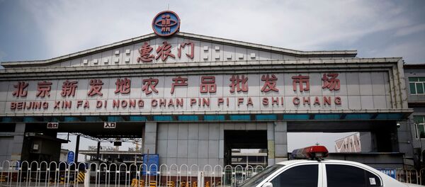 Сhợ bán buôn nông sản Tân Phát Địa (Xinfadi), Bắc Kinh - Sputnik Việt Nam