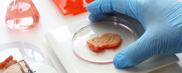 Thịt nhân tạo - Sputnik Việt Nam