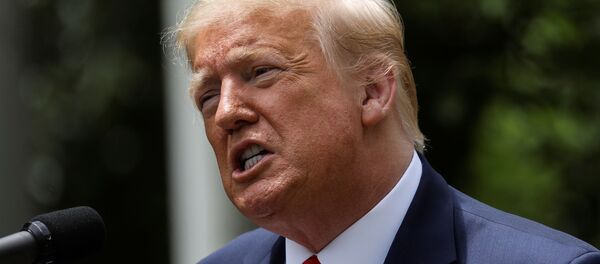 Tổng thống Mỹ Donald Trump - Sputnik Việt Nam