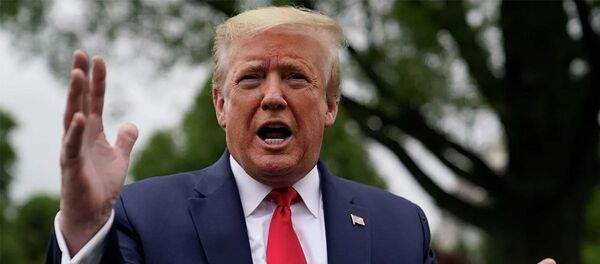 Tổng thống Mỹ Donald Trump - Sputnik Việt Nam