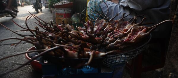 Buôn bán xác chuột ở chợ Hà Nội   - Sputnik Việt Nam
