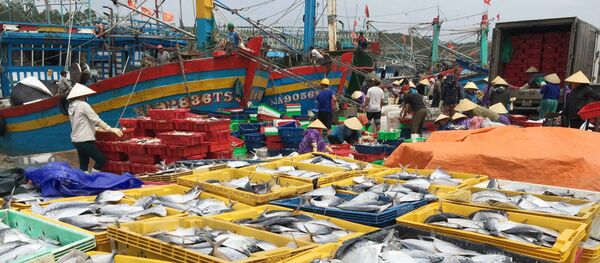 Nhiều nghị quyết giúp các địa phương ở Nghệ An phát triển kinh tế. - Sputnik Việt Nam