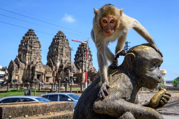 Con khỉ trên bức tượng trước đền Prang Sam Yod ở Lopburi, Thái Lan Con khỉ trên bức tượng trước đền Prang Sam Yod ở Lopburi, Thái Lan - Sputnik Việt Nam
