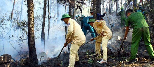 Các lực lượng chức năng nỗ lực dập lửa tại xã Diễn Lợi, huyện Diễn Châu (Nghệ An). - Sputnik Việt Nam