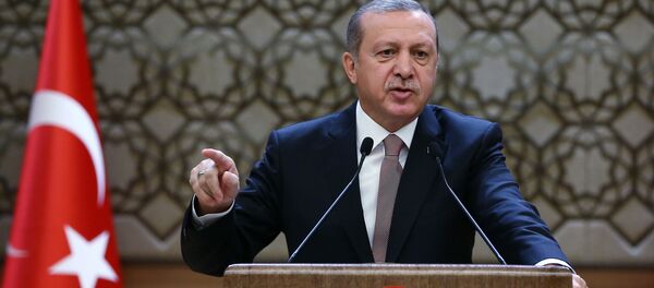 Tayyip Erdogan Tayyip Erdogan - Sputnik Việt Nam