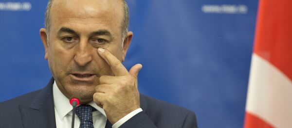 Mevlut Cavusoglu Mevlut Cavusoglu - Sputnik Việt Nam