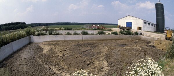 Bể lắng đặc biệt tích trữ phân bò - Sputnik Việt Nam