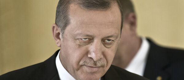 Tayyip Erdogan - Sputnik Việt Nam