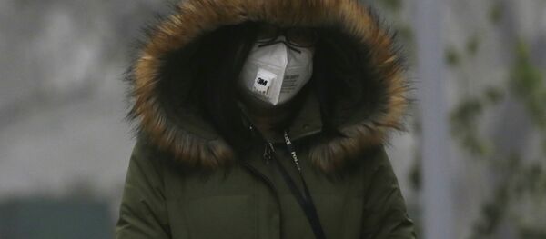 Người phụ nữ Trung Quốc đeo mặt nạ khi dạo chơi - Sputnik Việt Nam