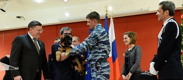 Cảnh sát Nga chính thức chuyển giao chú cún Dobrynya cho các đồng nghiệp Pháp - Sputnik Việt Nam